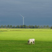 Windmolens weiland.jpg