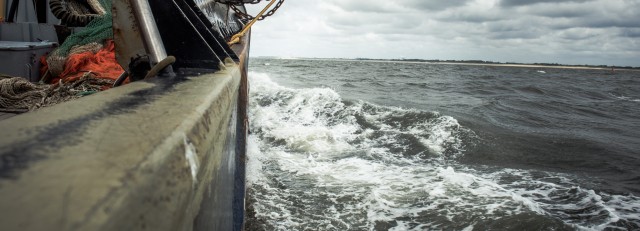 20150618 Peter op Zee-lowres--2096.jpg