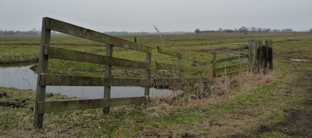 Reeuwijk Oupolder P1110778a 624x270