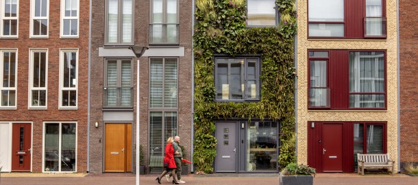 Huizen aan gracht.jpg