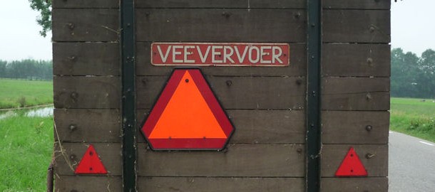 vee P1140844a 624x270