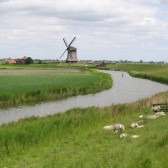 plaatje bij hoeksche waard