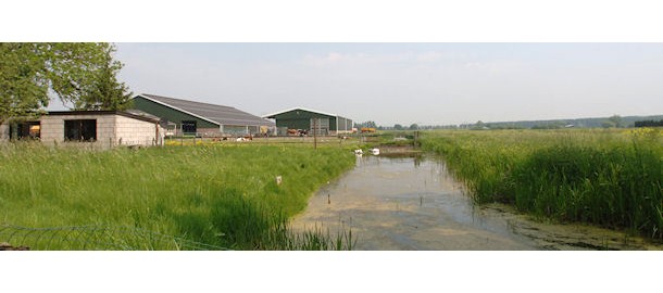Zuidplas - omgeving Rode Waterparel 610x192