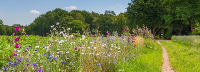 foto WUR biodiversiteit.jpg